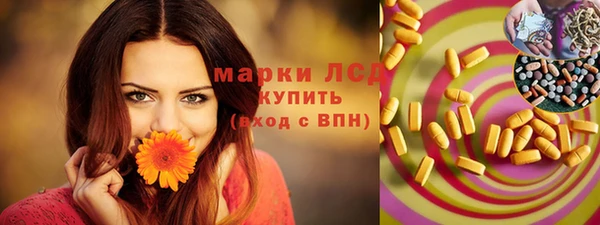 эйфоретик Баксан