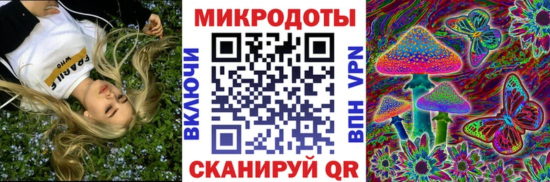 купить   Волжск  Галлюциногенные грибы Psilocybe 